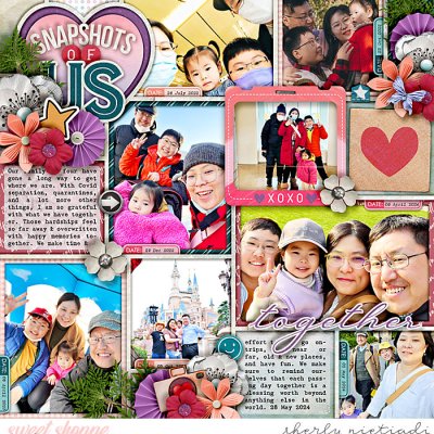 snapshots of us