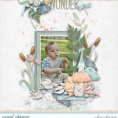 Wonder