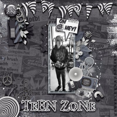 ponytails-theteenzone