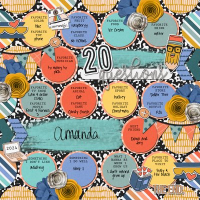 20 Questions - 2024