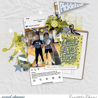 Pickleball Club Champs