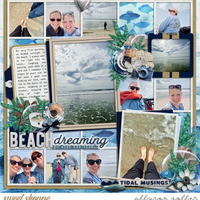 Beach Dreaming