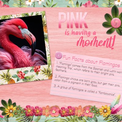 Pink is Having a Moment