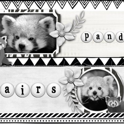 Panda Pairs