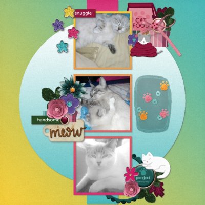 My kitties