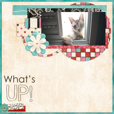 What's up ?