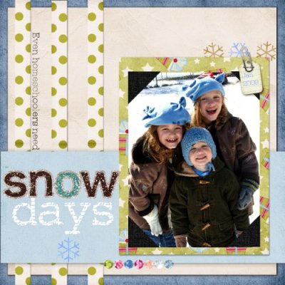 Even homeschoolers need snow days