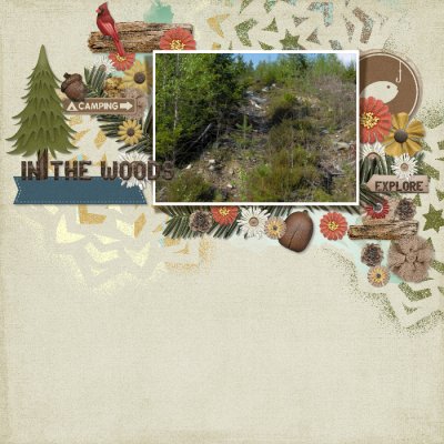 In_the_woods1