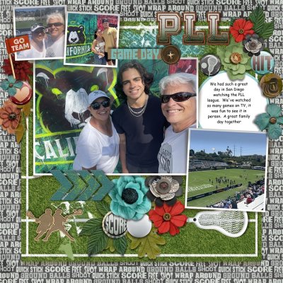 A DAY AT THE GAME