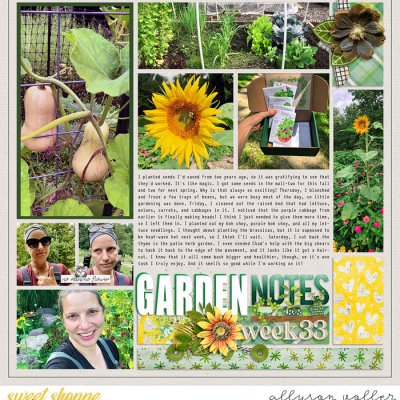 2023 garden notes week 33 right