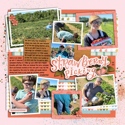 Strawberry Picking