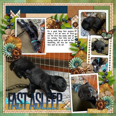 Fast Asleep