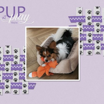 Pup at Play