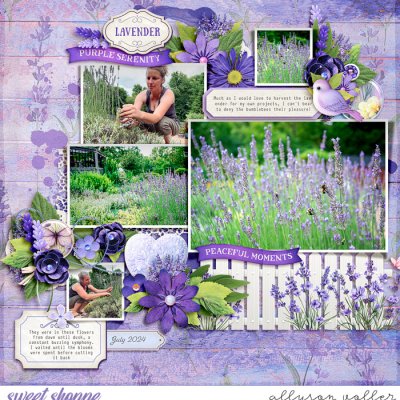 Lavender