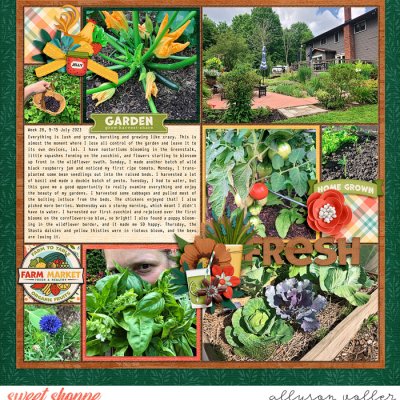 2023 garden notes week 28 left