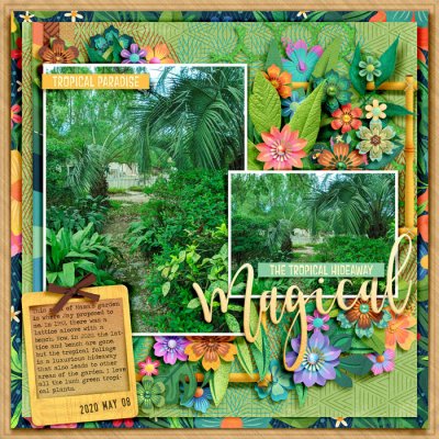 Magical - The Tropical Hideaway