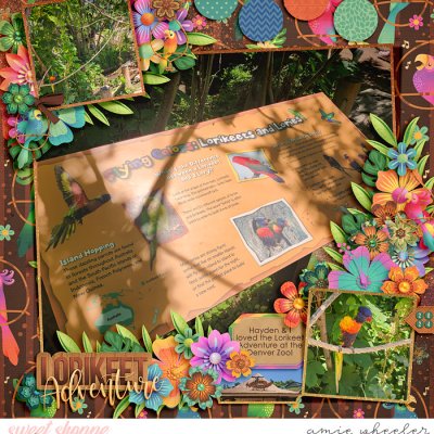 Lorikeet Adventure