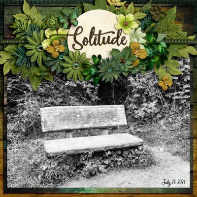 Solitude