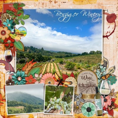 BENZIGER WINERY