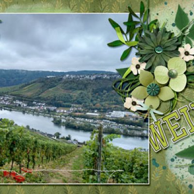 vineyard