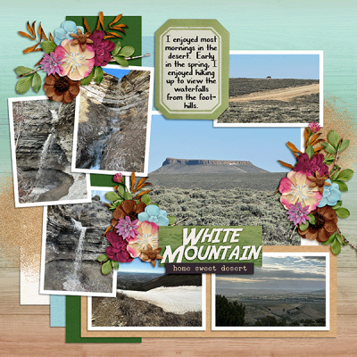 White Mountain Hikes