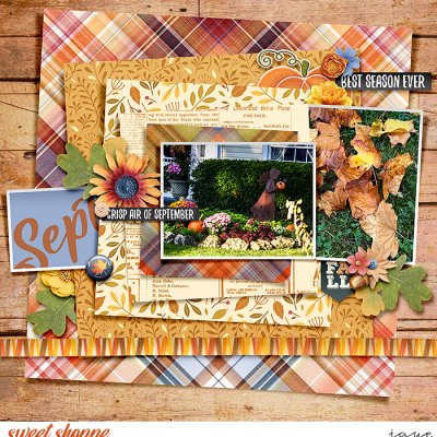 Fall is in the Air