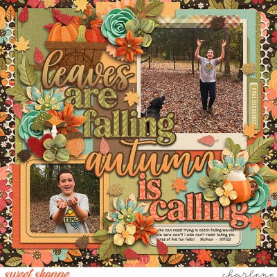 Leaves Are Falling
