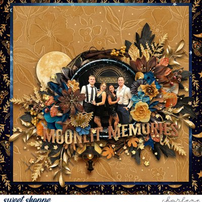 Moonlit Memories