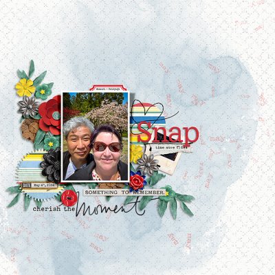 BSnap Shot