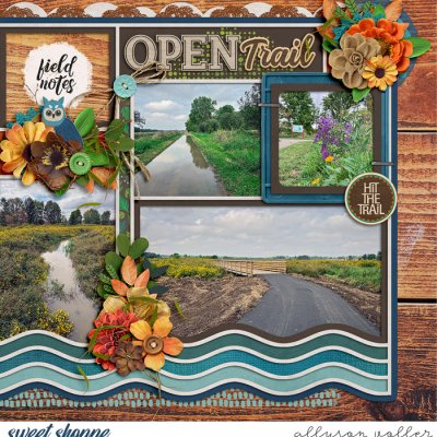 Open Trail right