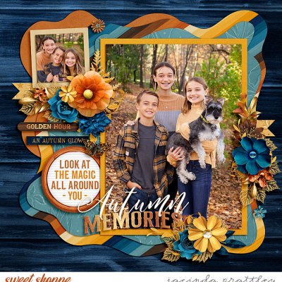 Autumn Memories