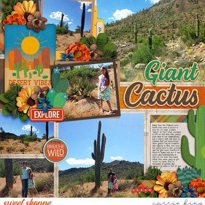Giant Cactus