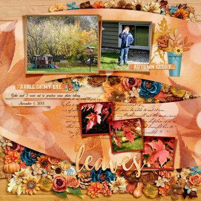 Fall Photographer