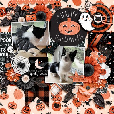 happy halloween