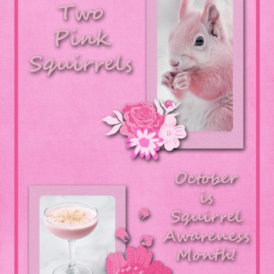 Two Pink Squirrels