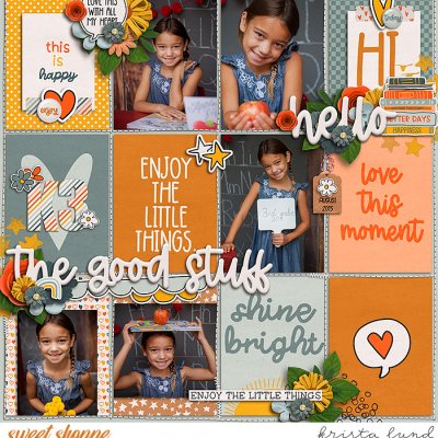 SSD-KL-3rdGrade-2015_08-BTS-copy