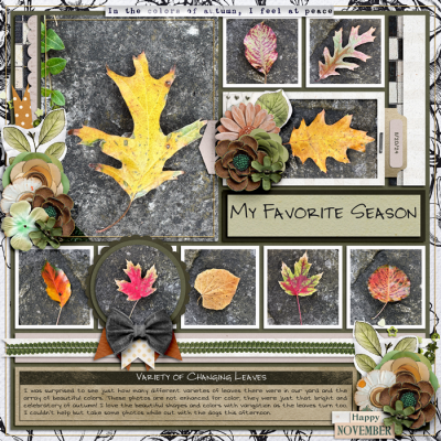 My Favorite Season