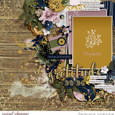 Gratitude Journal 2024