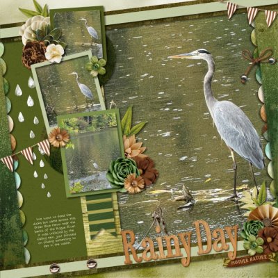 Chilly Autumn Days