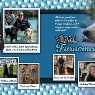 Viral Furnomenon