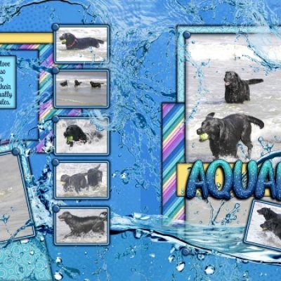 Aquaholics