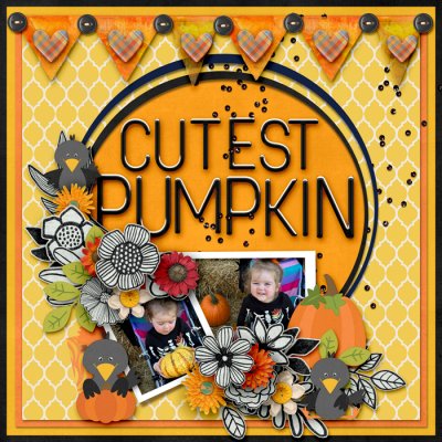 Cutest Pumpkin