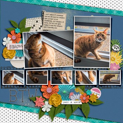 Ares Window Cat