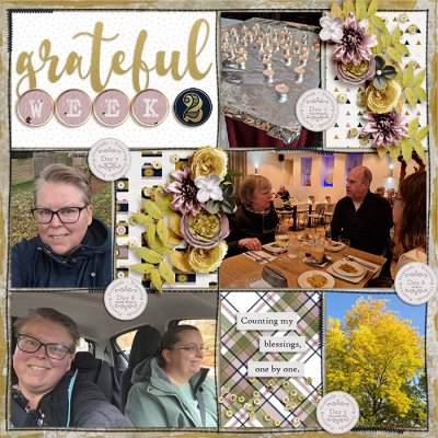 Grateful (week 2)