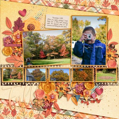fall color walk