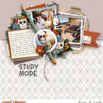Study Mode