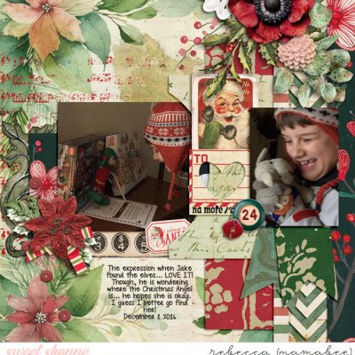 Seeing the elves