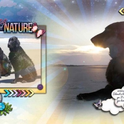 Awes of Nature