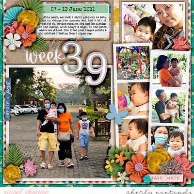 week 39