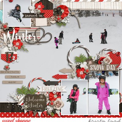 SSD-KL-2017_03-SnowDay